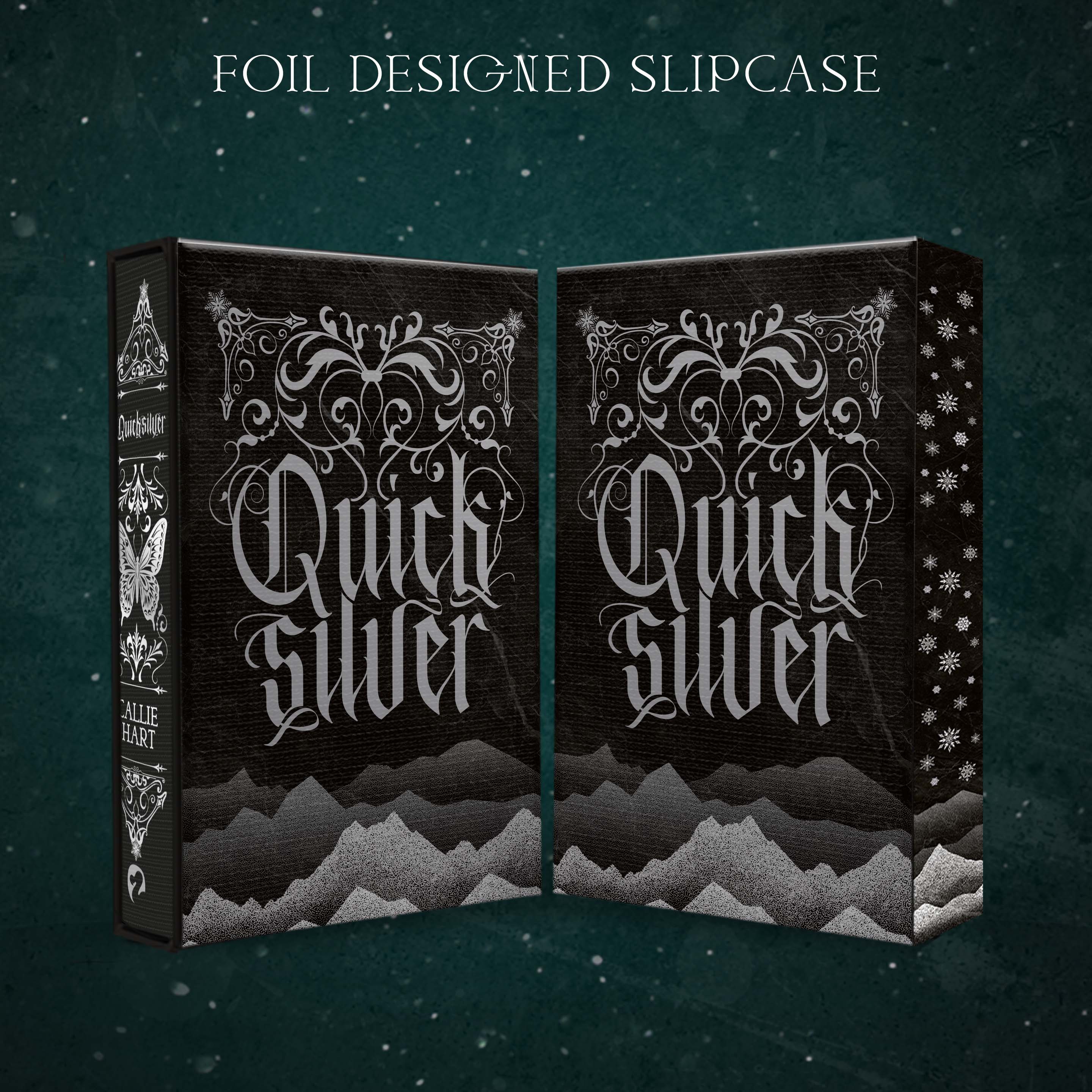 Pack shot of Quicksilver sllip case, black with silver gothic design